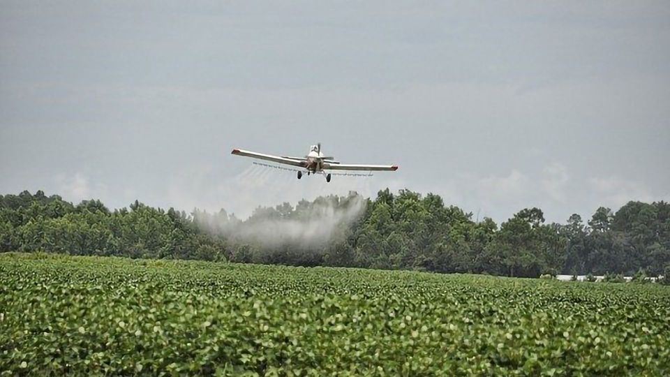 View of Evaluation of aerial drift during drone spraying of an