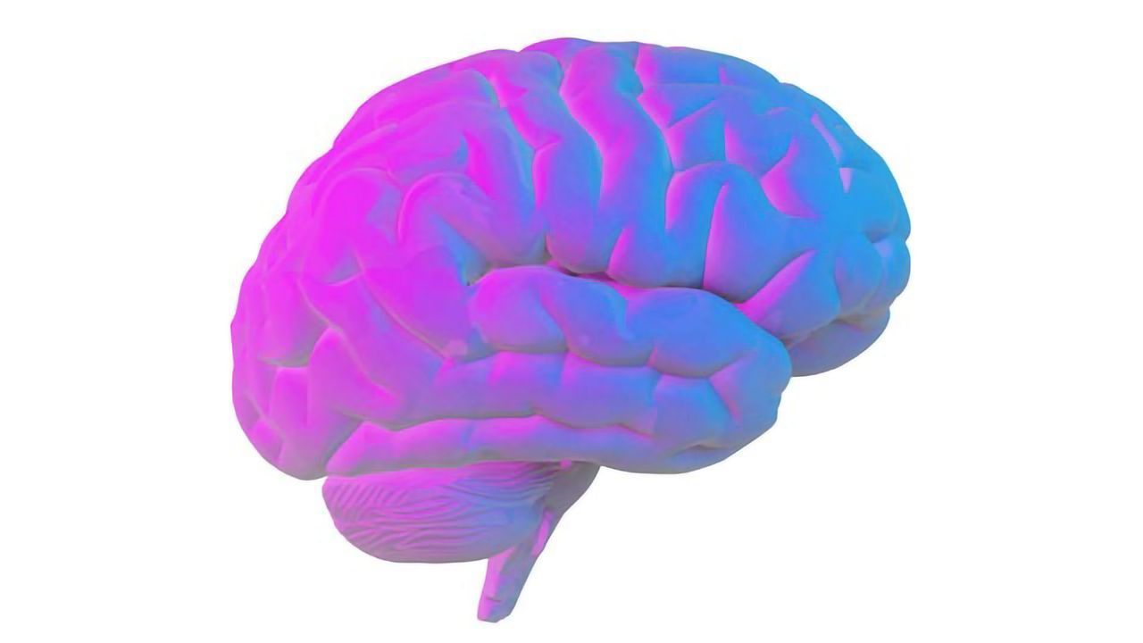 How Much Oxygen Does the Brain Need?