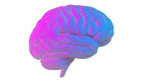 How Much Oxygen Does the Brain Need?
