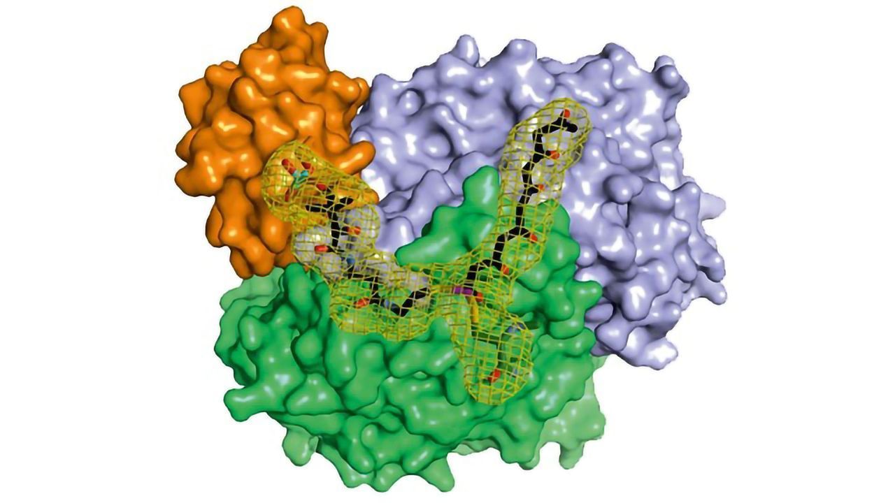How Microorganisms Make Natural Drug Products