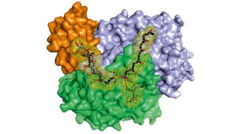 How Microorganisms Make Natural Drug Products