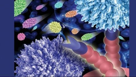 Multisample Technique Speeds Up Cell Adhesion Analysis