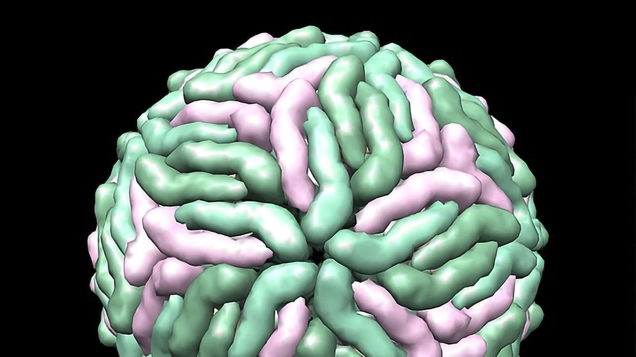 Cryo-EM Advances Are Good News for Drug Discovery