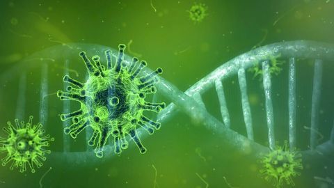 COVID-19 Could Outwit Science Unless Knowledge Stays Current