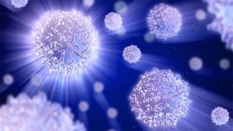 RNA Key in Helping Stem Cells Know What To Become