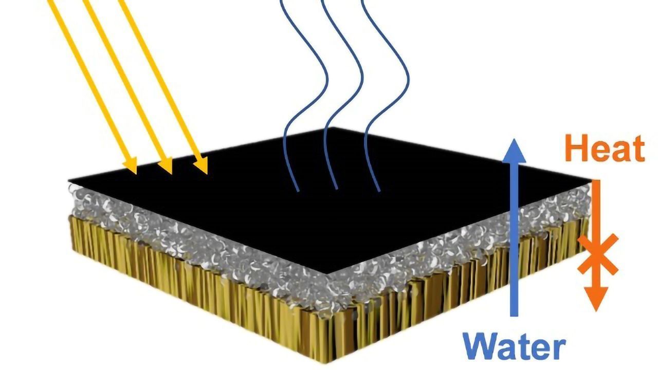 Wood, Bacteria and Sun Combined in Novel Water Purification System