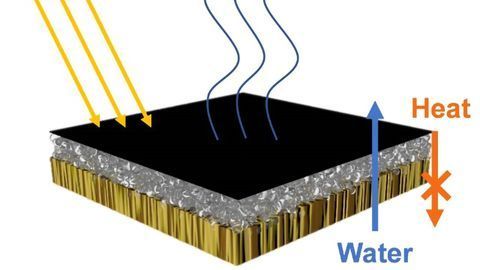 Wood, Bacteria and Sun Combined in Novel Water Purification System