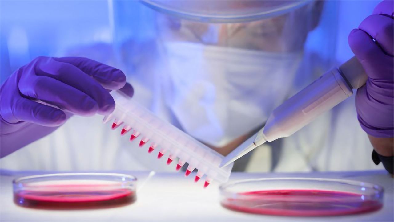 How To Ensure Cell Line Authenticity