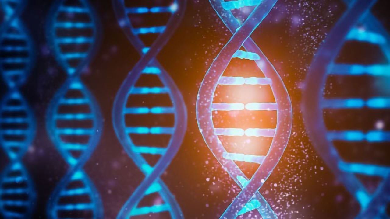 Applications of Single-Cell Sequencing