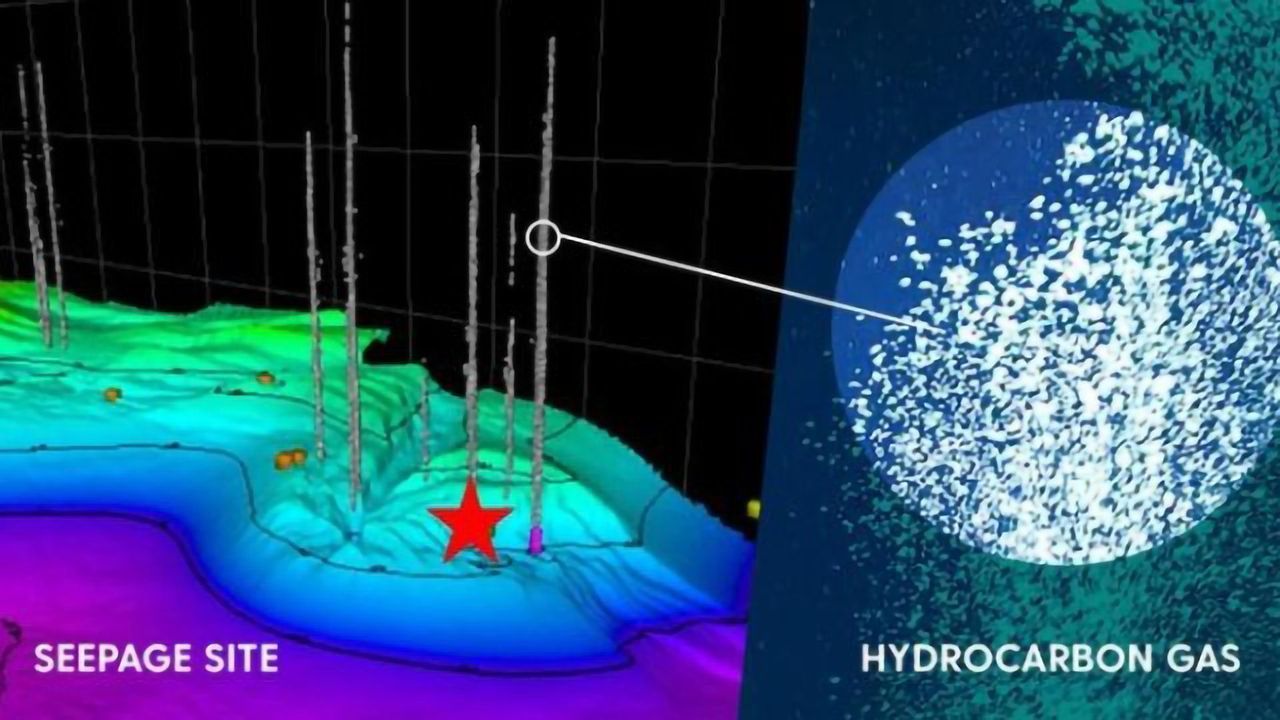 Microbial Life Inside and Outside of Seafloor Hydrocarbon Seeps
