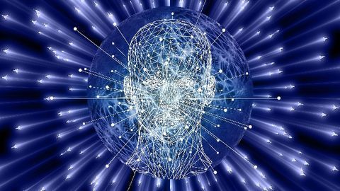 Gene Program Initiates Brain Changes in Response to Cocaine
