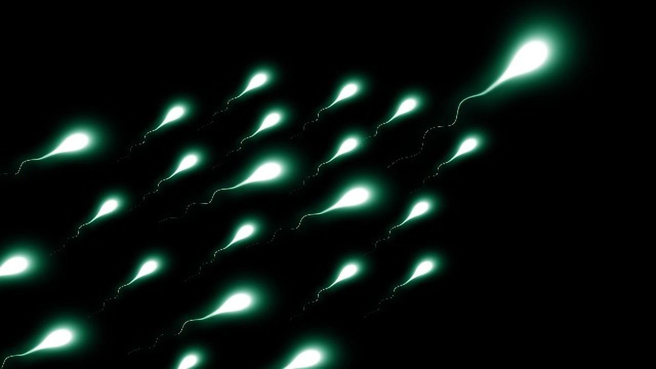 No NELL2, No Sperm Motility