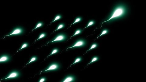 No NELL2, No Sperm Motility