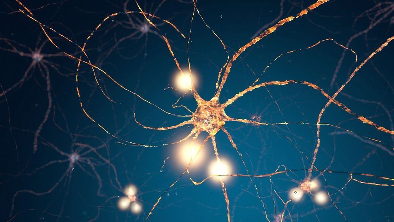Drug for Inherited ALS Shows Promise in Early-stage Trial
