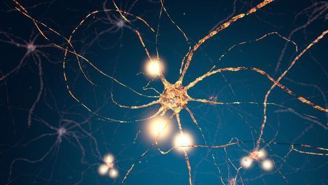 Drug for Inherited ALS Shows Promise in Early-stage Trial