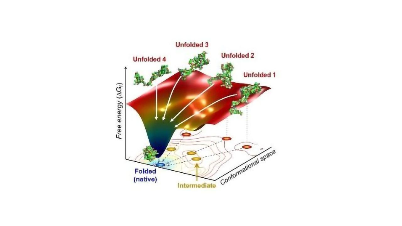 X-Ray Method Tracks How Proteins Fold