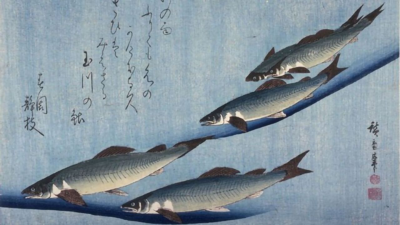 Fishing for a Theory of Emergent Behavior