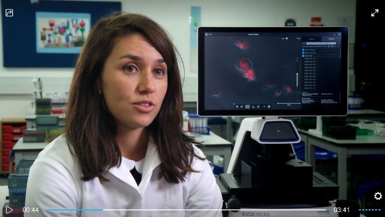 Liver regeneration: EVOS™ M5000 microscope at the cutting-edge research