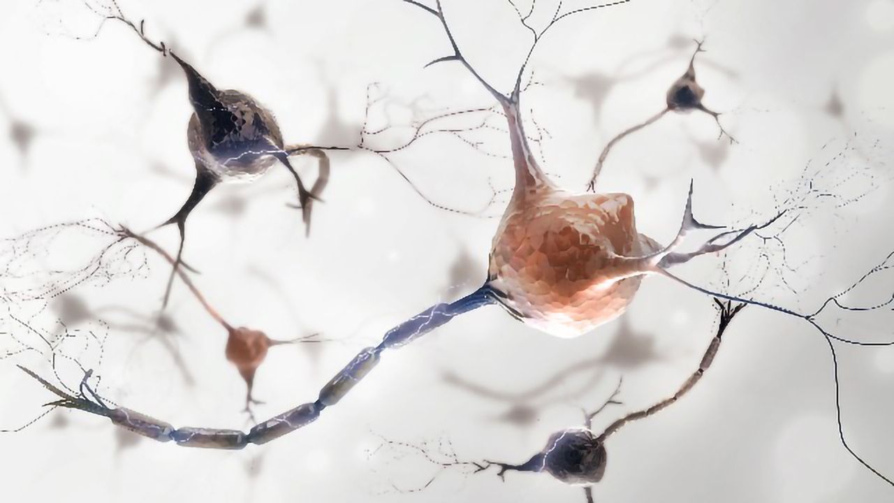 Intelligent Intervention Into Multiple Sclerosis With Next-generation Therapies