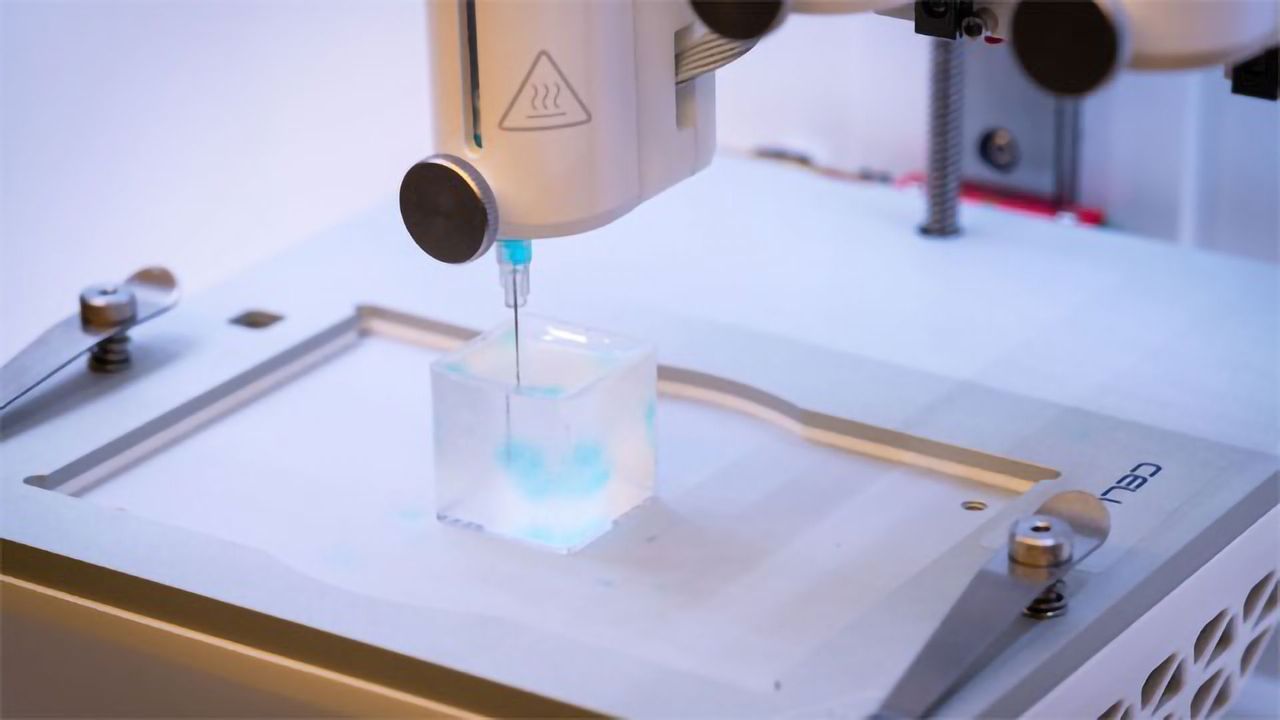 New Bioink for Cell Bioprinting in 3D Developed