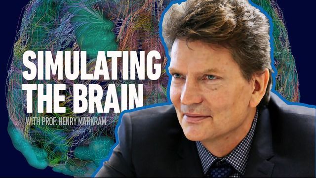 模拟大脑:马克拉姆的采访内容块的形象