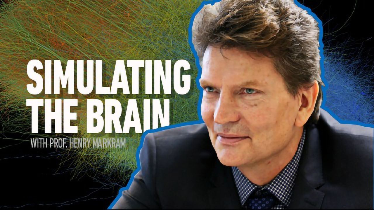 The Markram Interviews Part One: An Introduction to Simulation Neuroscience