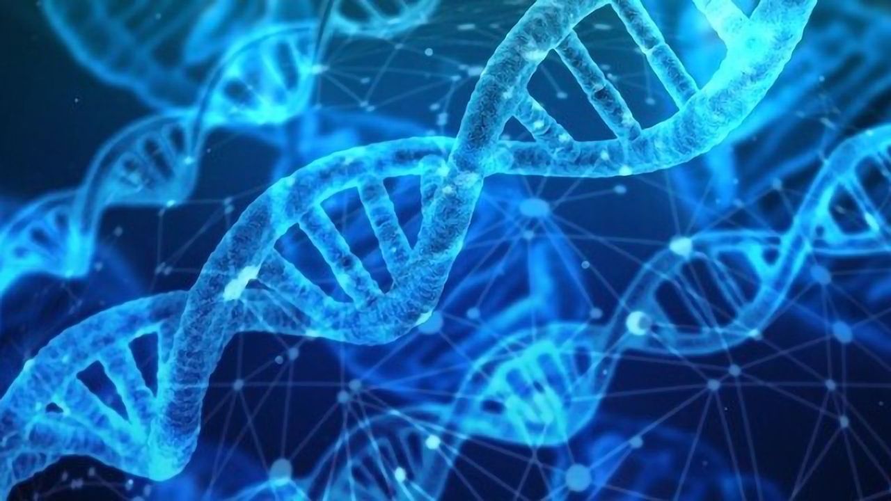 Cobra Biologics Delivers Final Plasmids for Production of CG01 in CombiGene's Epilepsy Project