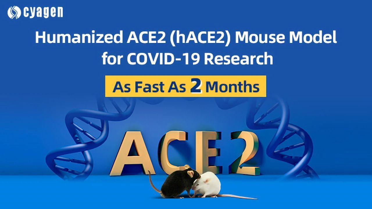 ACE2 Mouse Models for Studying COVID-19 Immunology