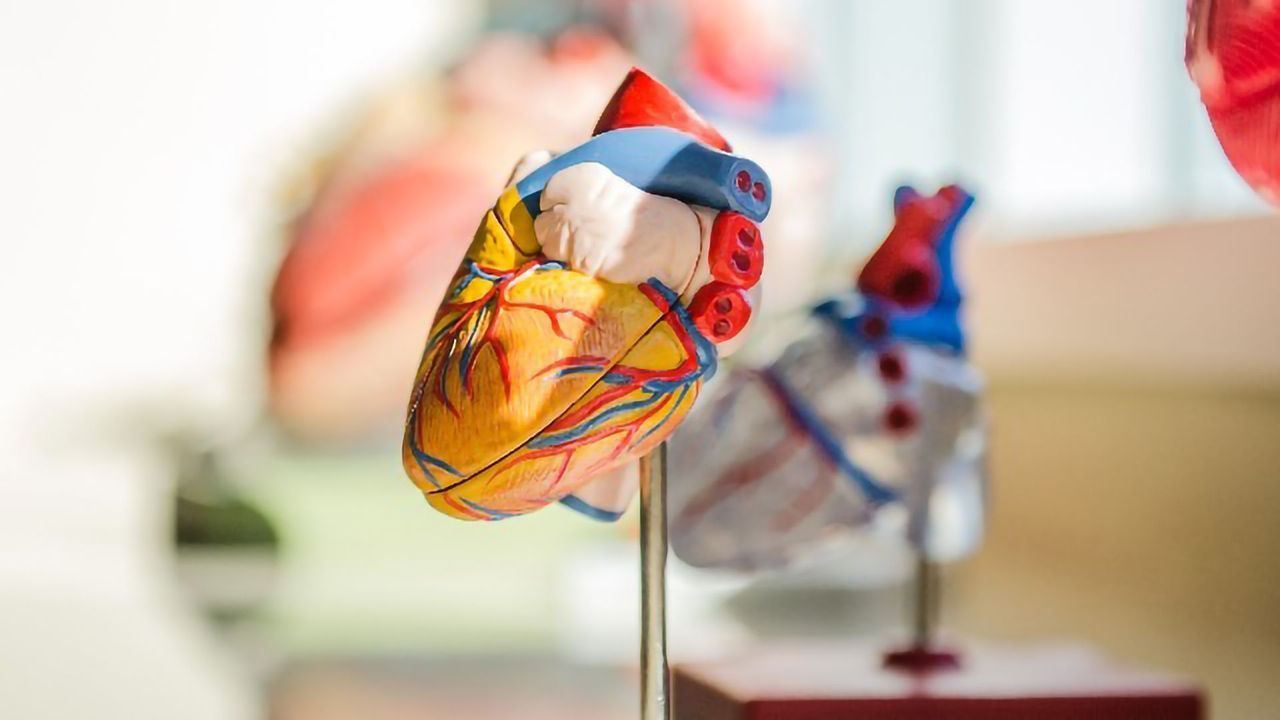 Collagen V Regulates Cardiac Scar Tissue Size