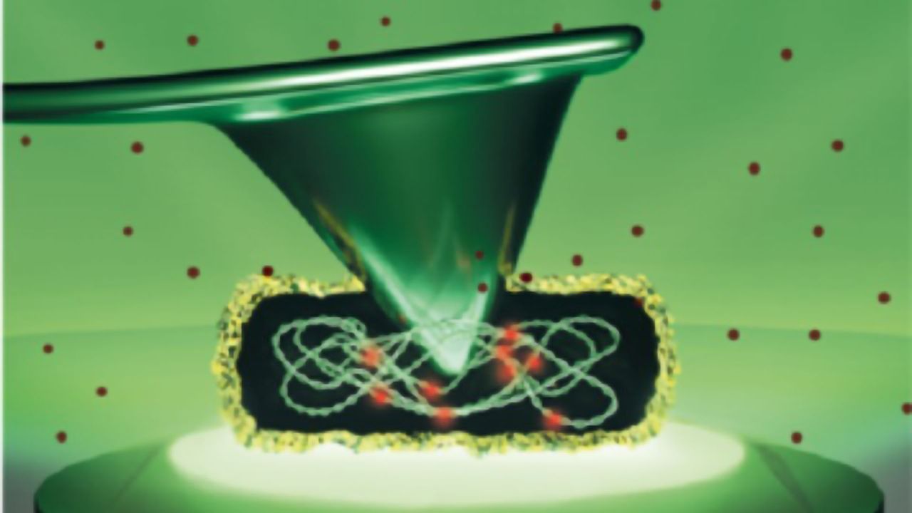 How Much Force Is Needed To Kill a Single Bacterium?