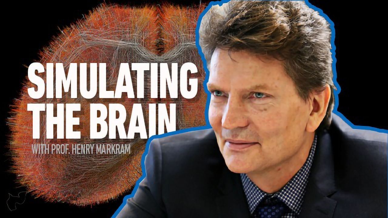 The Markram Interviews Part Two: Simulations and Experiments – How Can They Work Together?