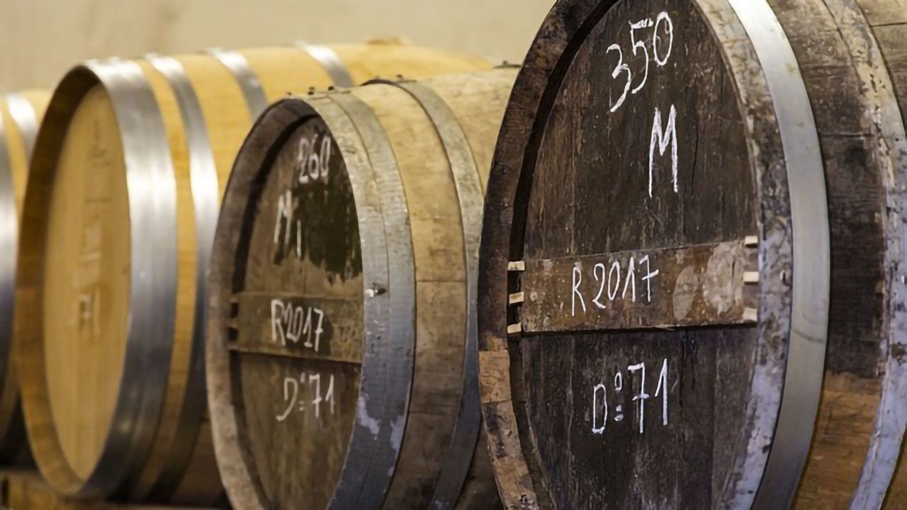 Oak Barrels Compounds Can Give Wine and Spirits a Bitter Taste