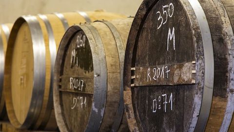 Oak Barrels Compounds Can Give Wine and Spirits a Bitter Taste