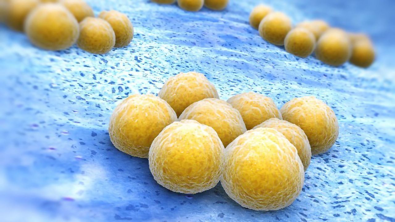 Developing Synthetic Antibiotics Against Drug-Resistant Pathogens