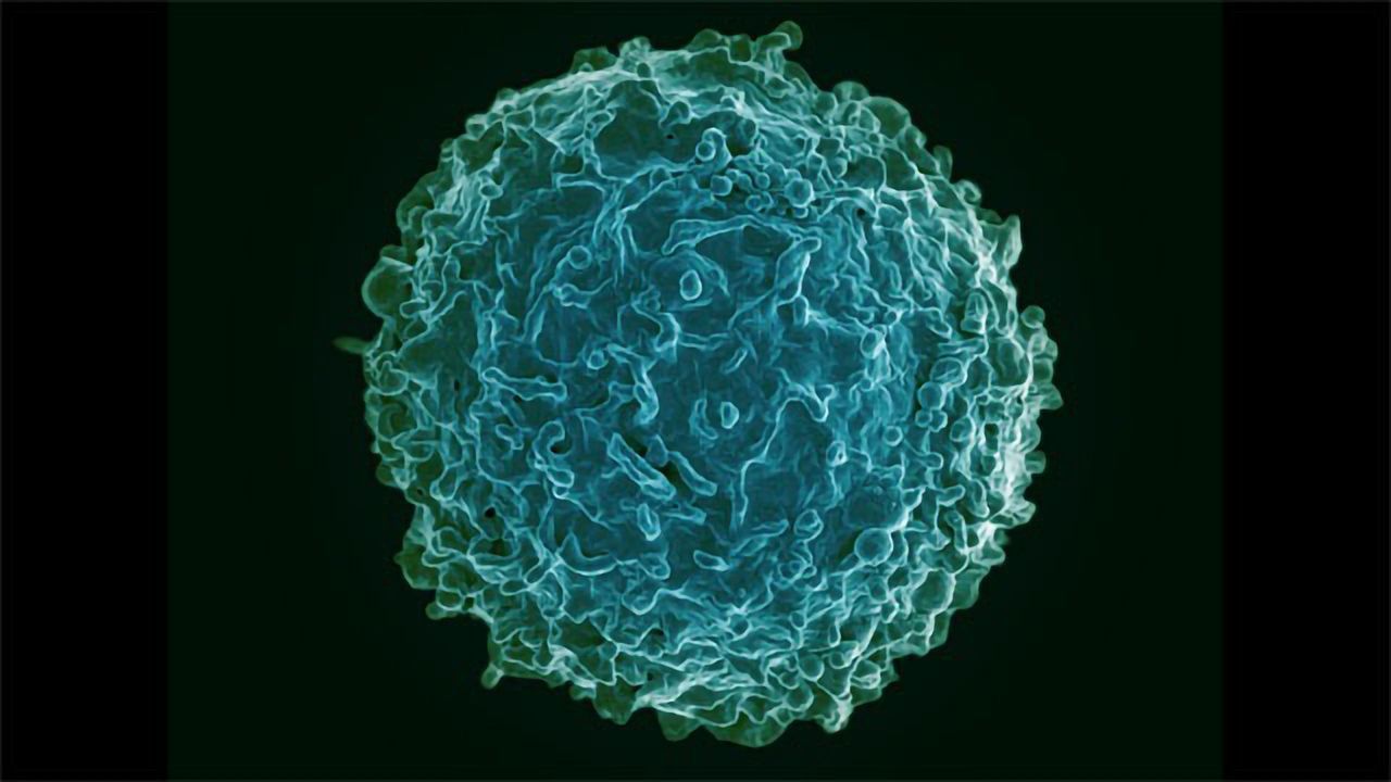 Blood Test Could Reveal When Rheumatoid Arthritis Will Strike
