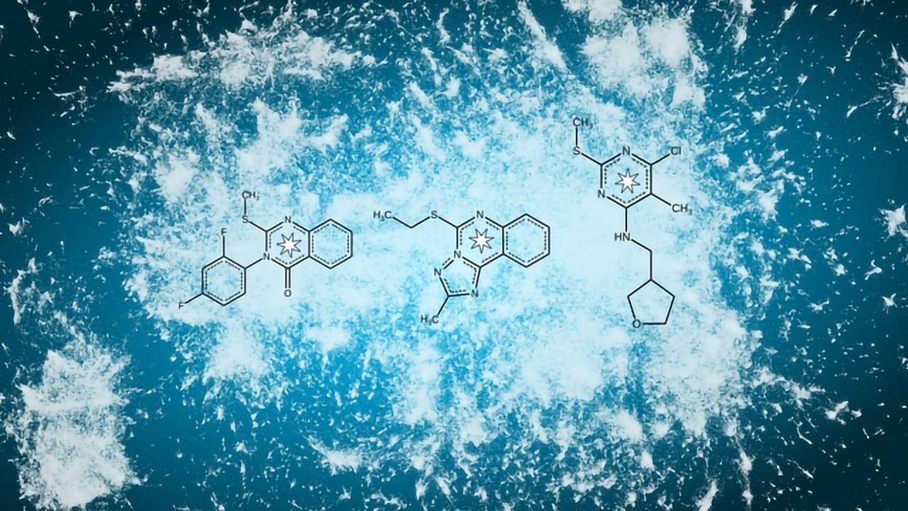 Team Screens Millions of Active Substances Against SARS-CoV-2
