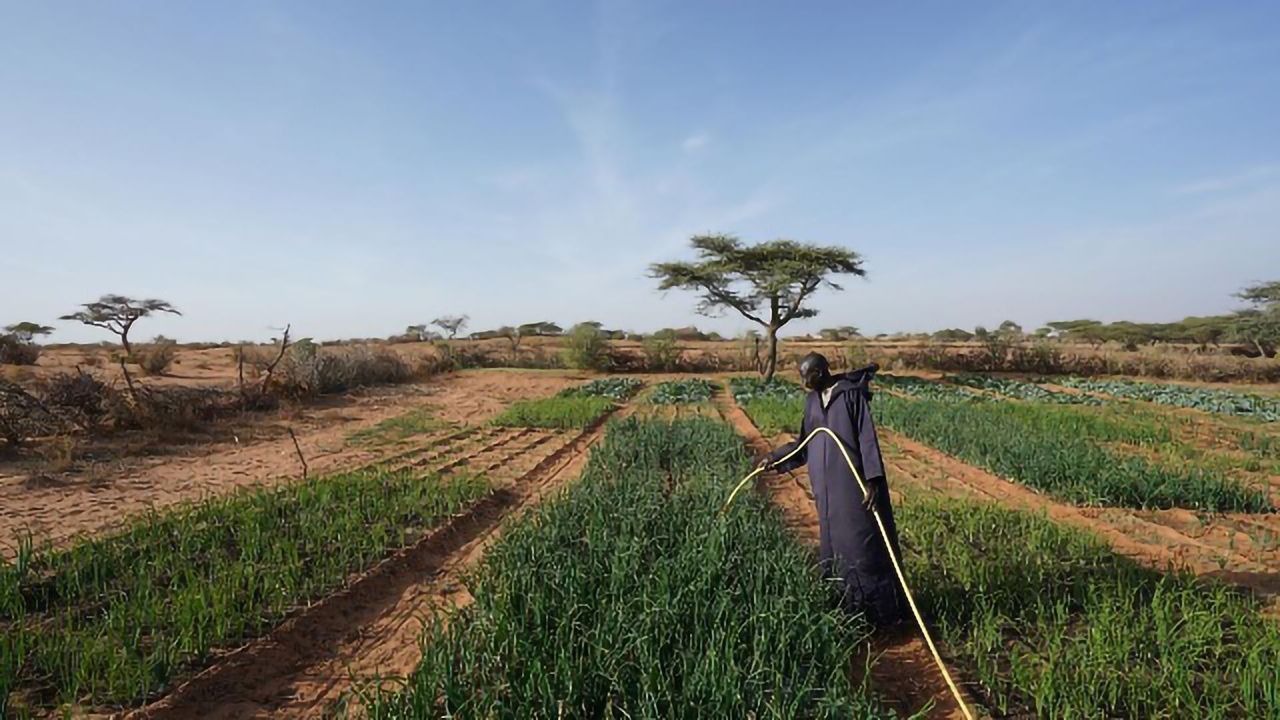 Spread of Deadly Waterborne Pathogens Expedited by Pesticides
