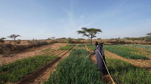 Spread of Deadly Waterborne Pathogens Expedited by Pesticides