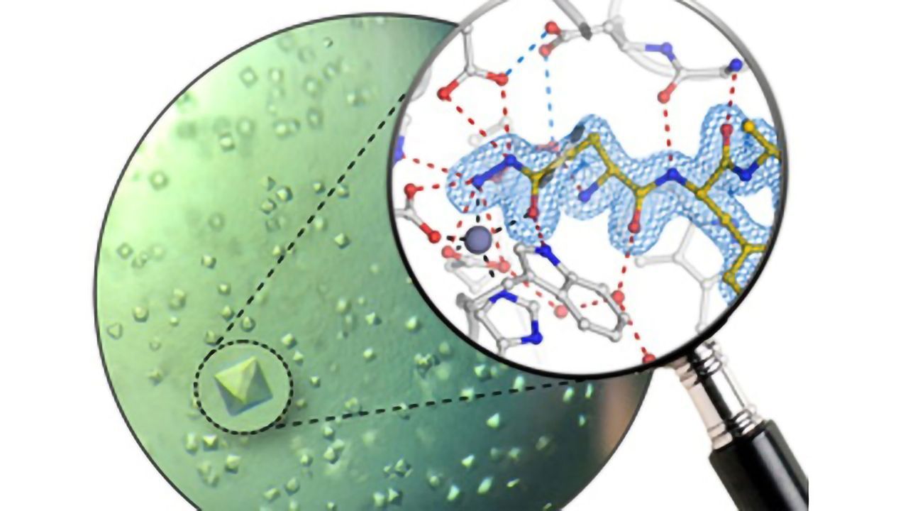 Team Designs Inhibitors To Target Key Enzymes in Alzheimer’s