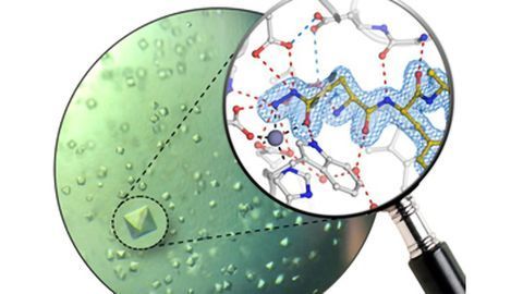 Team Designs Inhibitors To Target Key Enzymes in Alzheimer’s