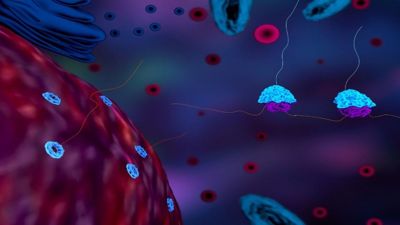 Modified mRNAs Boost Efficient Protein Synthesis
