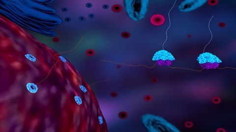 Modified mRNAs Boost Efficient Protein Synthesis