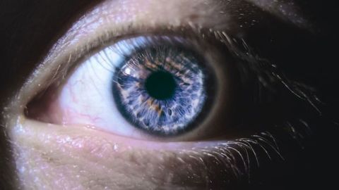 The Eyes Can Reveal Past Trauma