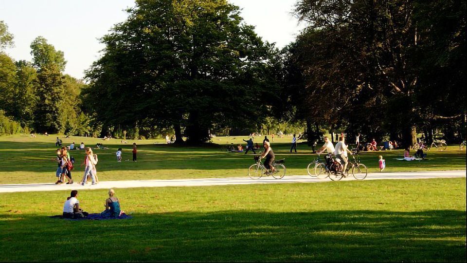 Green Spaces Are Vital to Combating Social Isolation and Mental Illness content piece image