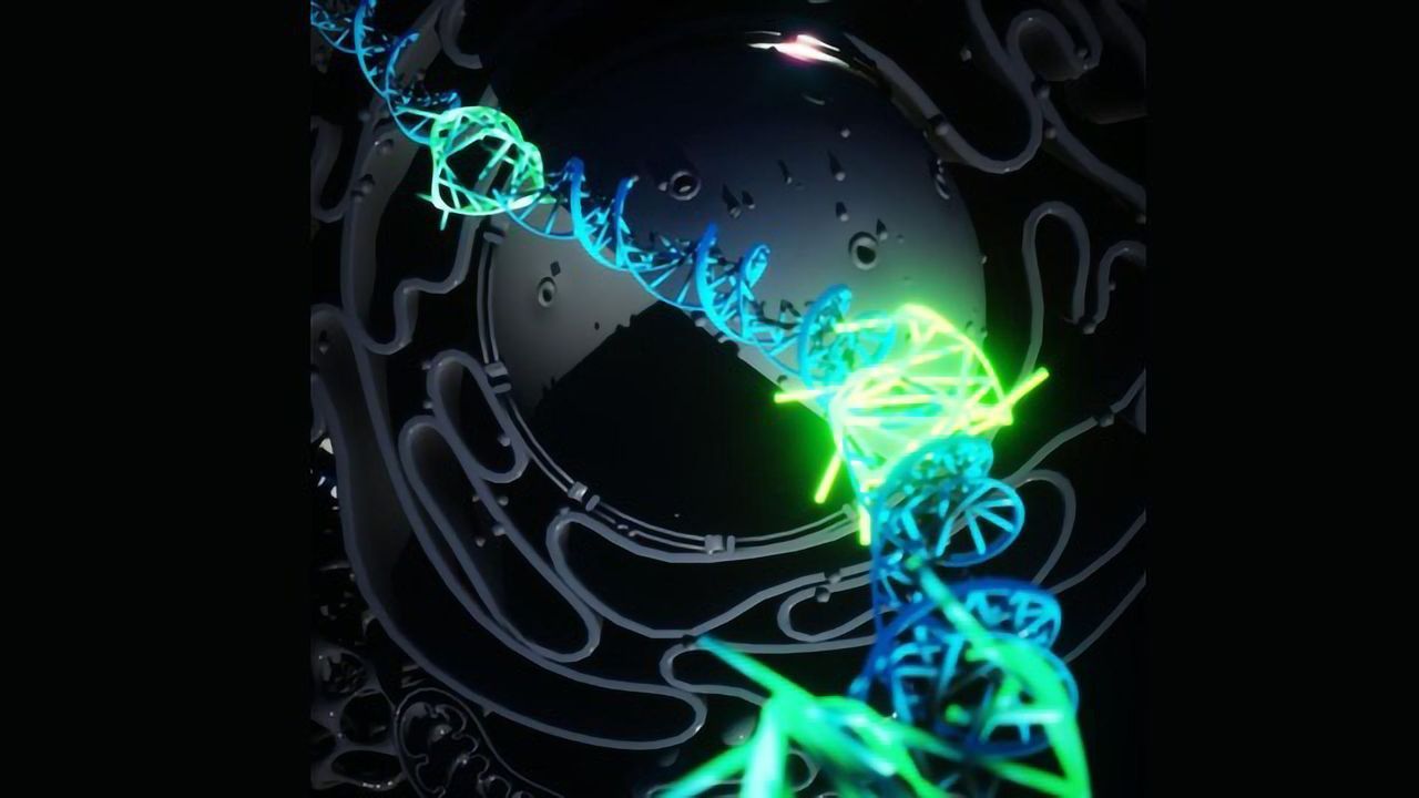 Four-Stranded DNA Exists and May Play a Role in Cancer