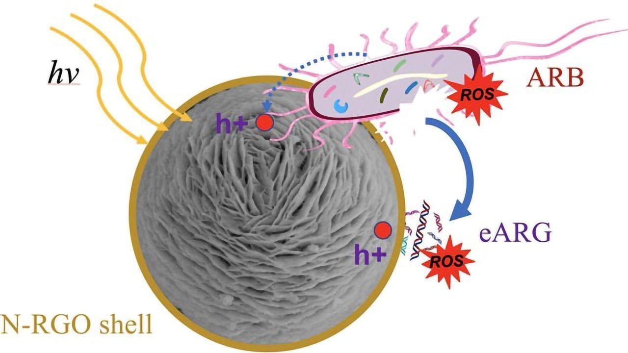 Wrap, Trap and Zap System Helps To Remove Antibiotic Resistant Bacteria From Wastewater