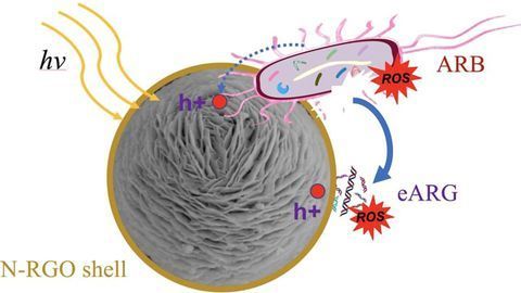 Wrap, Trap and Zap System Helps To Remove Antibiotic Resistant Bacteria From Wastewater