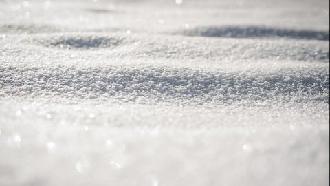 Molecular Disappearing Act Solved by Manipulating Ultracold Molecules