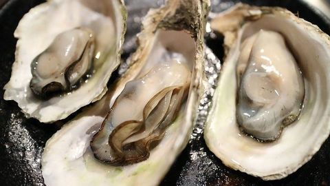 Supercharging Shellfish To Combat Vitamin Deficiency in People