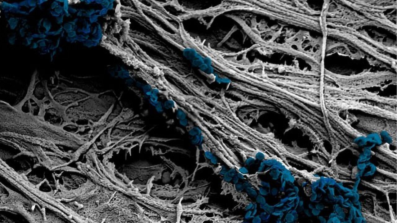 A New Method for Stimulating Neurons